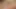 Melek ve tavşan cosplayerleri kohina (22) ve suzu (20), çevrimiçi bir TV şovu için selfie çeken sevimli kadınlar.