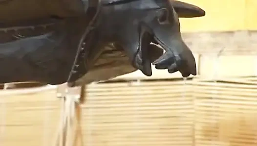 İri güzel Alman nine oyuncağıyla oynamak zorunda