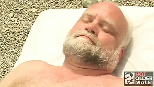 Ayı vahası: ayı 3