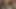 Hotkinkyjo Mrhankey'den büyük dildoyla sikişiyor ve mahvolmuş kulübede anal sarkma