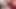 Azgın sarışın götüne uzun bir dildo dolduruyor - amateur1