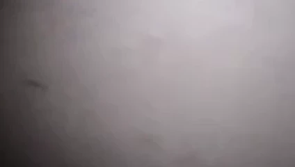 Sweetnass tara'nın dövülmüş kedi