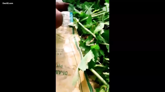 Секс индийской деревенской бхабхи дези с Husnan на улице