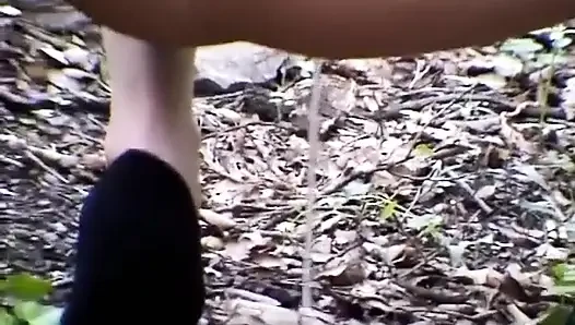 Yavru kedi açık havada işiyor