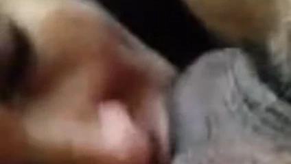 Evli kadın büyük bir siyah horoz emme