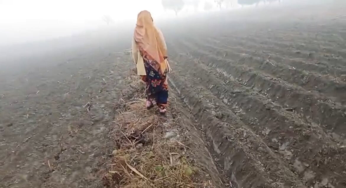 Hintli kadın şeker kamerun tarlasında sikişiyor