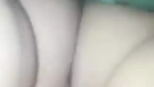 Info 3519286612 whatszap