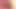 Pis konuşma, oral seks, handjob, cumshot, horoza tapma derlemesi