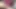 Seksi kız videoları geri döndürüyor