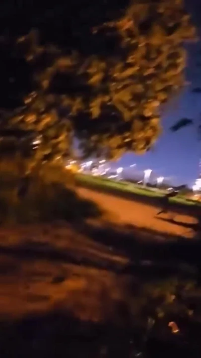 Gece plajında büyük yarak