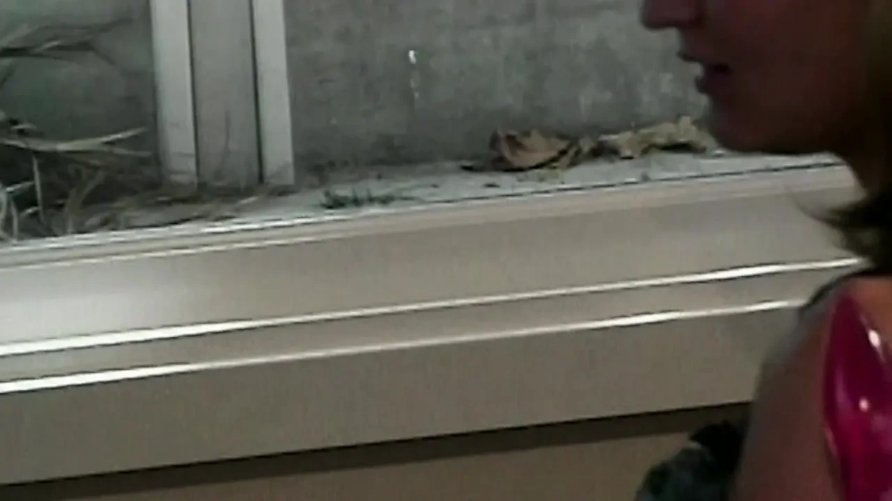 Watch Heie Strapon Action Mit Geilen Girls Amateur Porn Feat Jasmine Lynn (High Quality) - Singapore Special