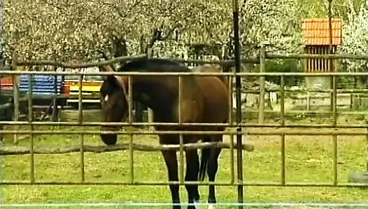 Kızıl saçlı Alman sürtük ahırda götten sikiliyor