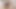 saf erotik tarafından damlayan arzular - lezbiyen aşk porno ile