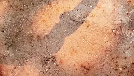 Muhteşem kızlar vahşi grup sekste sikiliyor