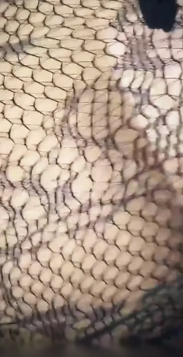 Üvey annemin fahişesi ile sikiştim