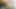 Mutlu sonla tamamen maskeli oral seks. ispanyol kraliyet çifti