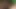 Siyah civciv beyaz yarak seviyor