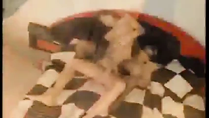 Sie geniessen es - They enjoyd it