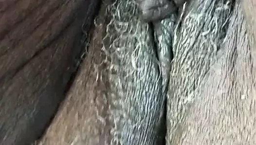 82 yaşındaki siyah kedi