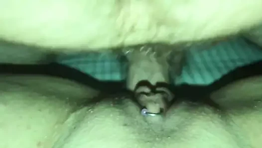 Sıkı küçük kedi