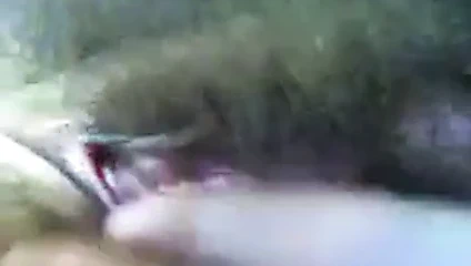 Cep telefonu kamerasını kullanarak