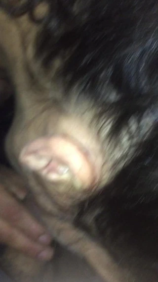 Pute suceuse de bites