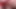 Süper seksi pembe yüksek topuklu ayakkabılar ve gümüş parlak çoraplı sevimli pembe ipeksi bir frikik