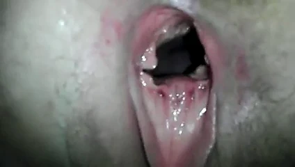 debra pembe kedi içine bakıyor