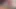Librarian Unleashed