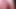 Sperma