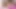 ERKEK ARKADAŞıMı SEVIYORUM! Bu yüzden o yayın yaparken önünde 24" bir yarağı sikiyorum - sara blonde