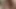 SSBBW 5