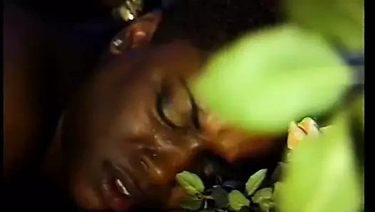 siyah adamlar için üç siyah pussies ve pislikler içinde karanlık alem