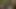Bbc redzilla sikikleri bbw prenses Başlarken çük aşağı