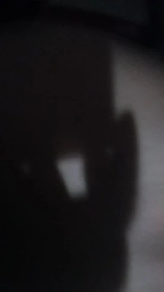 Bhabhi ko ghodi bana kar choda