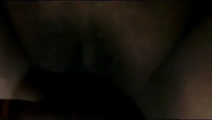 Köpek güzel bir görünüm altından filme alındı