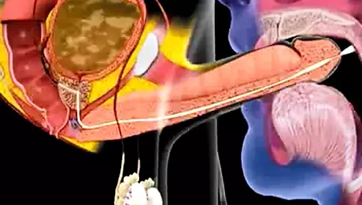 ağzına boşalmak animasyon