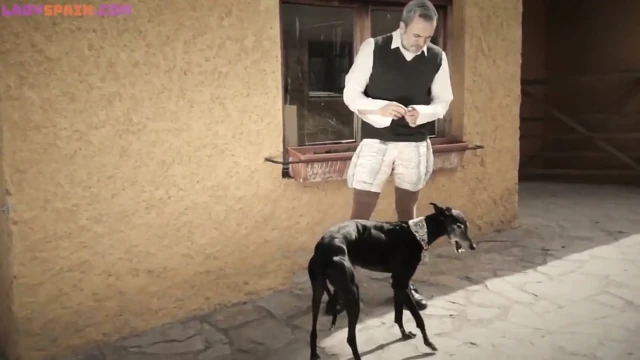 Porno parodi don quixxxote'nin İngilizce versiyonu, kıllı amcıklar ve zevk almak için anal seks