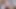 Busty dövmeli lezbiyenler kedi makaslama üzerinde kam