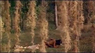 Bir seks sahnesinde Will smith'in karısı jada