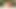 Charlie Forde, Emberly Adams'ın yer aldığı röportaj yağı ve eşcinsel pornosu