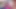 Üç kız bir koç teaser