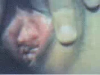 Kore web kamerası 2