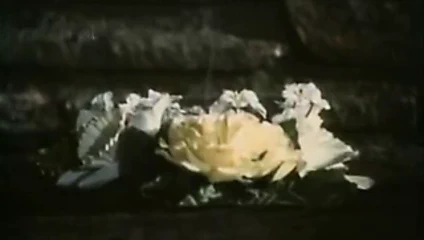 Michelle bauer, anna ventura, klasik porno victoria knoll