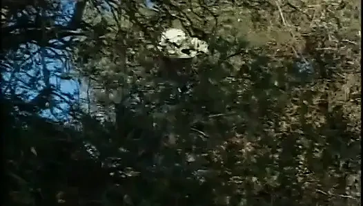 Otostoplu sarışın göt deliği açık havada yarakla pompalandığında azıyor