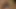 Rachel Aziani büyük klitorisinde sihirli vibratör kullanıyor