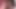 Zenci porno yıldızı Jasmine Webb büyük bir yarağı okşuyor