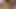 auf den fuss gewixxt.mp4
