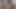 Dev canavar dildo yolculuğu