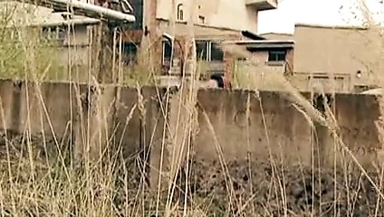 Özel, küçük kırmızının cinsel maceraları, cd2